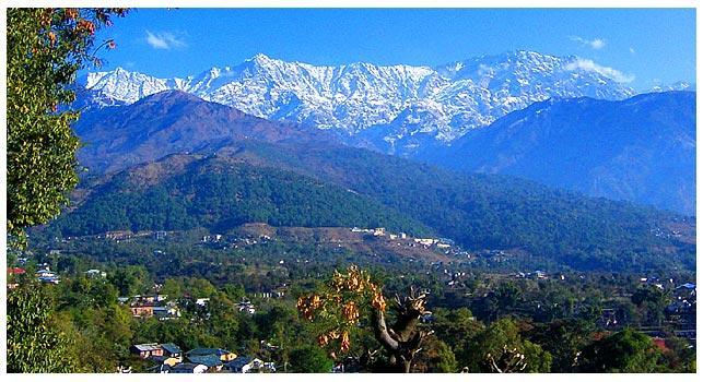 Angel'S Inn Resort Dharamshala Exterior foto